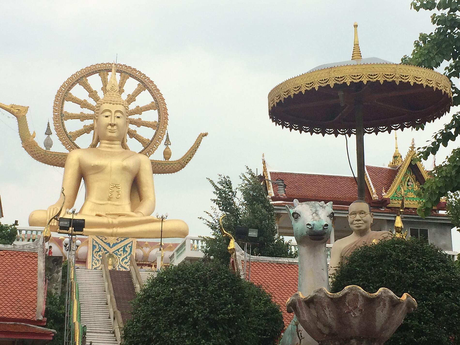 IMG_8052_Camille Morabito.jpg