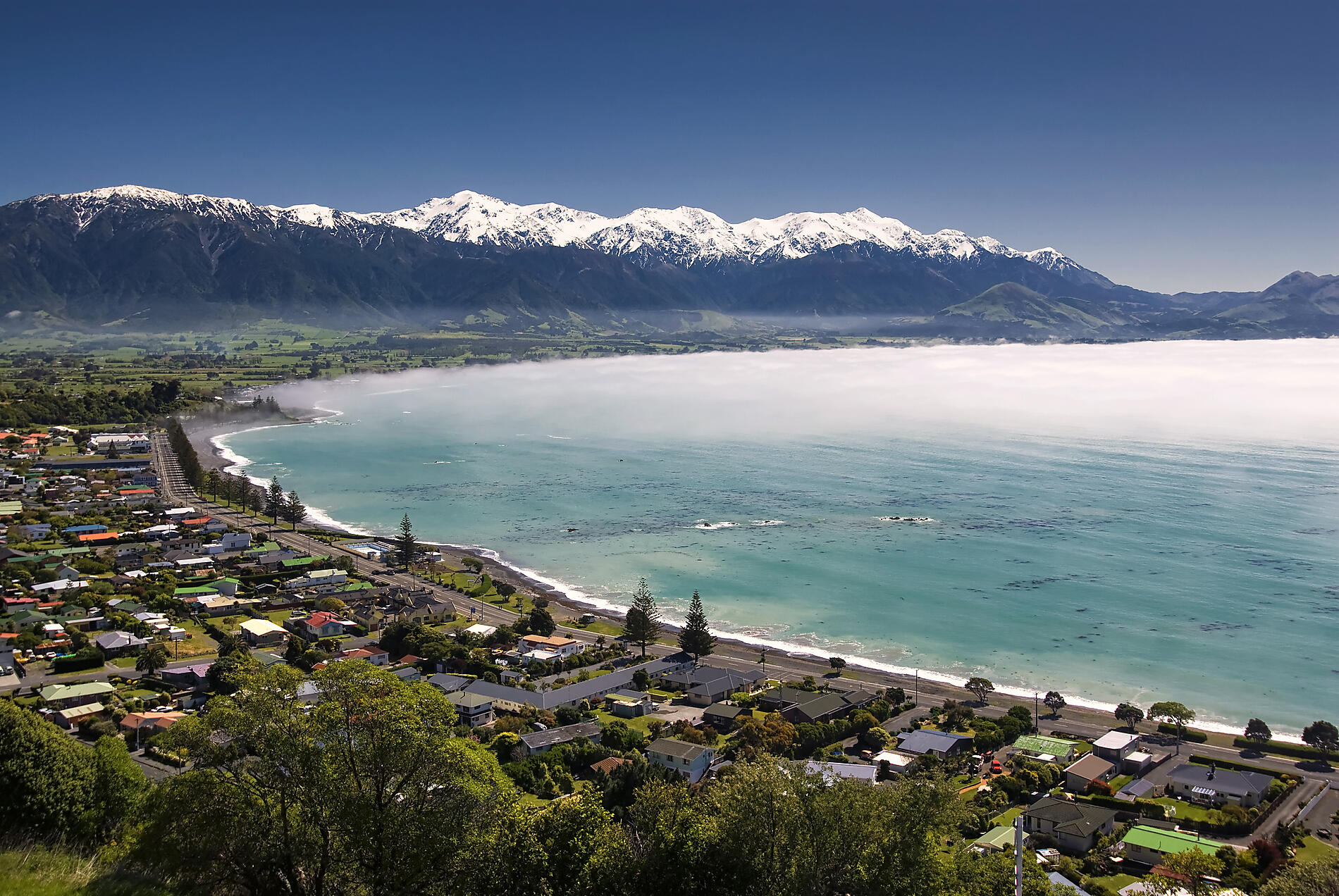 AdobeStock_107100083_Kaikoura.jpeg