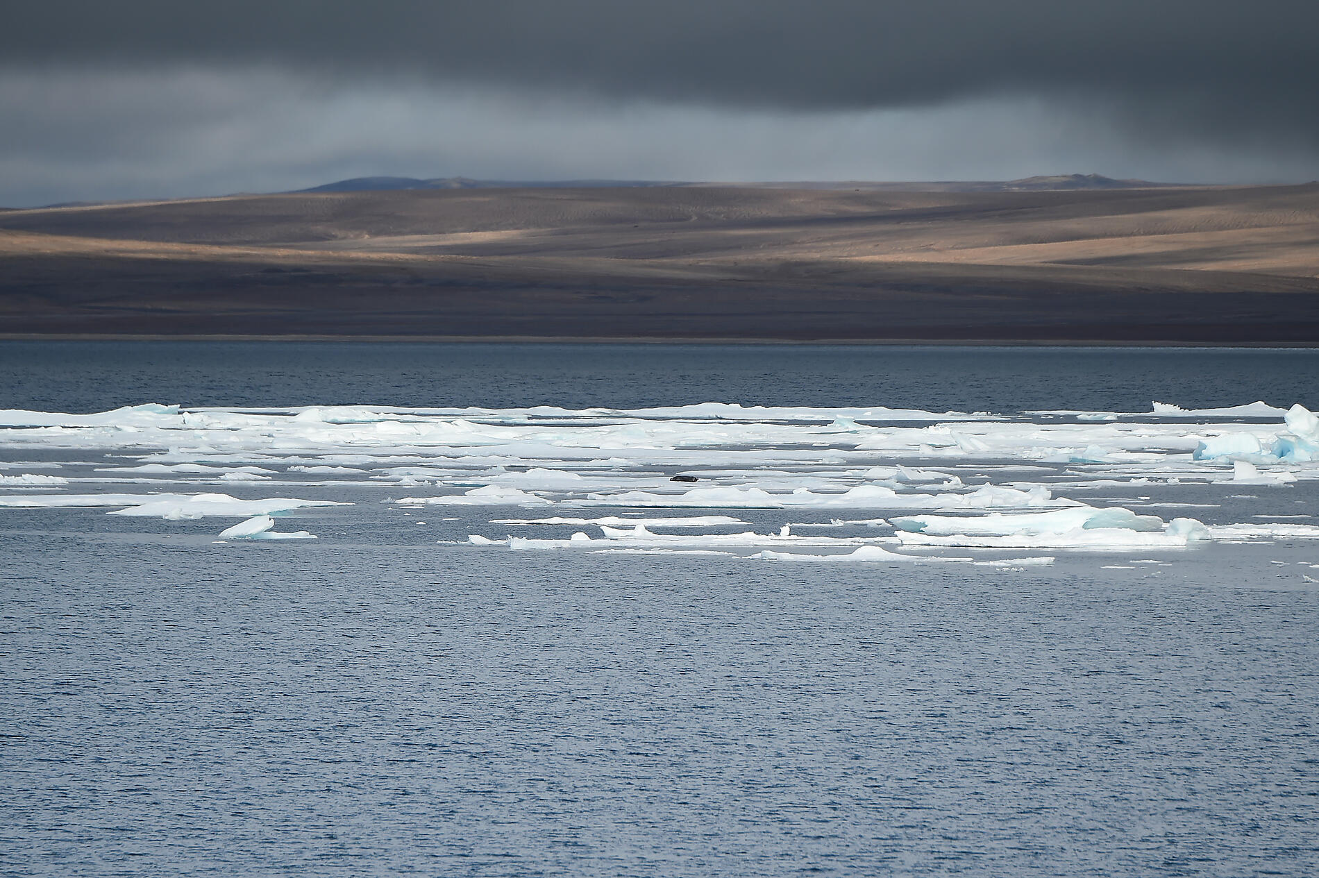 No-2800_A160816_JESSE-HARBOUR©StudioPONANT-Nathalie Michel.JPG