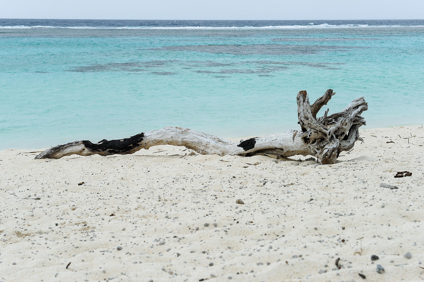 N-501_S191215_MARE-ISLAND©StudioPONANT-Margot Sib.jpg