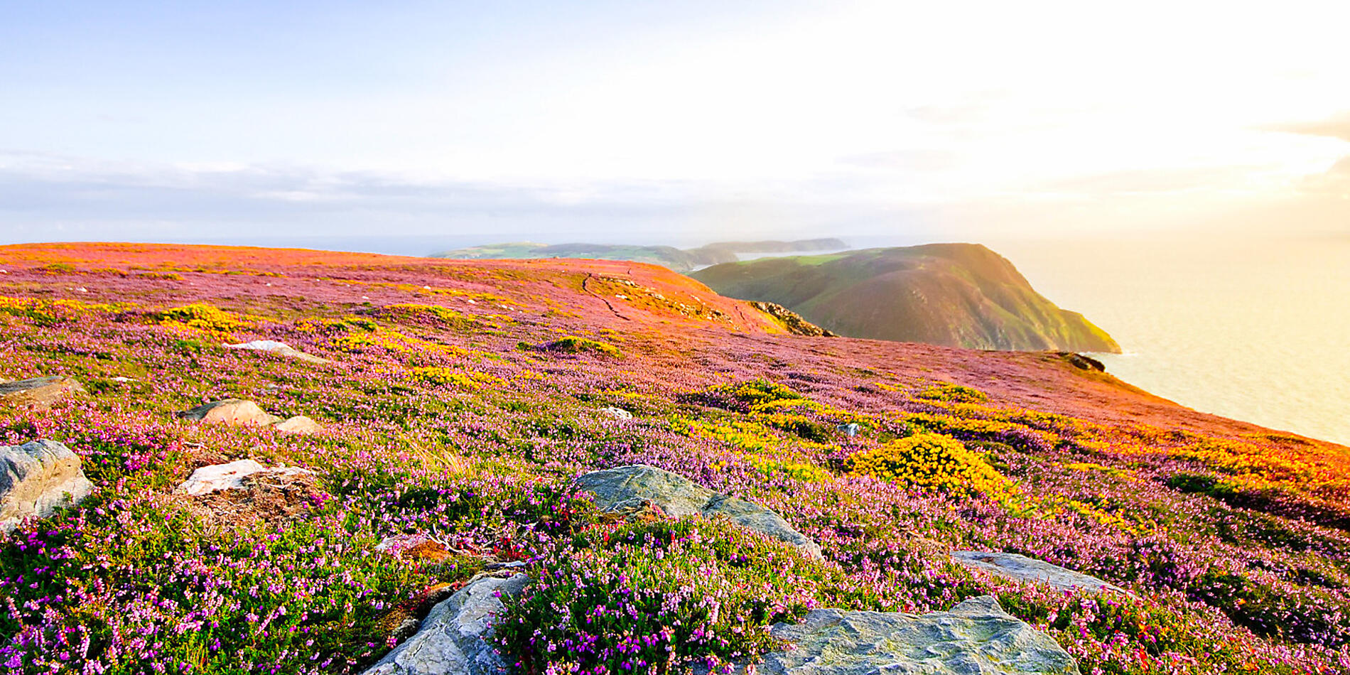 Wonders of the Celtic shores