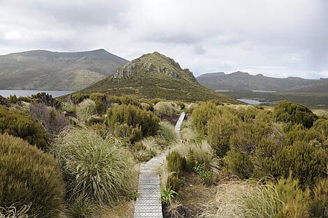 Jan 7, 27 - Campbell Island