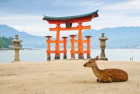 May 27, 26 - Miyajima Island