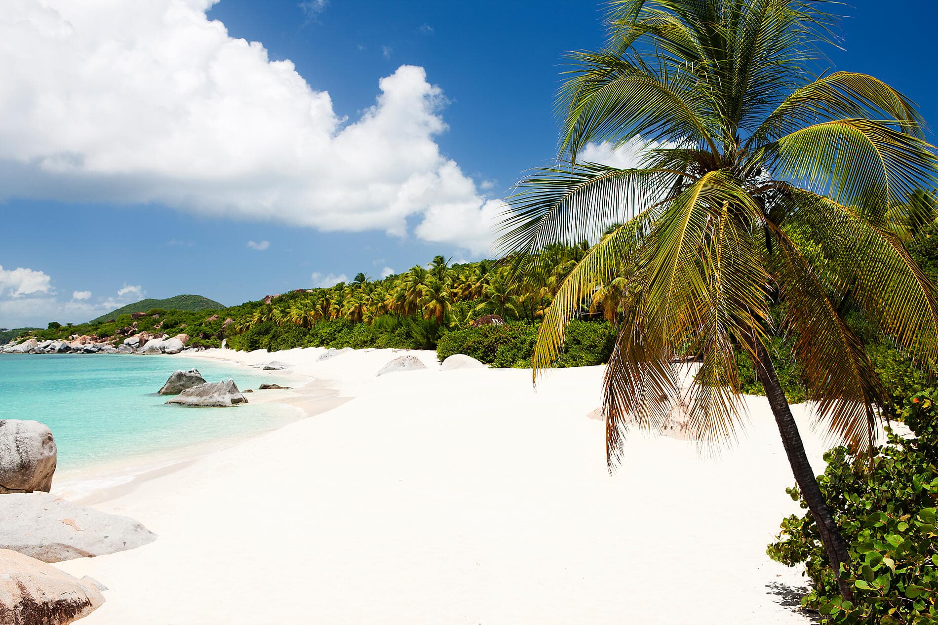 The Essentials of the Caribbean ©Istockphoto