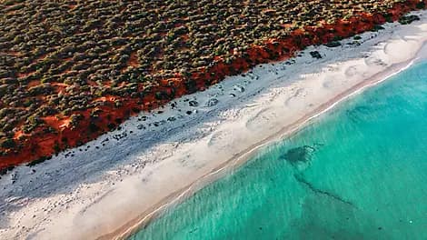 Aug 5, 27 - Shark Bay World Heritage Area