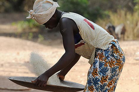 Jan 1, 27 - Carache Island, Bijagos