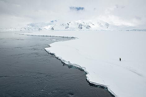 Jan 6, 26 - The Gullet