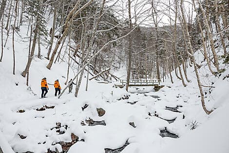 Feb 21, 27 - Corner Brook