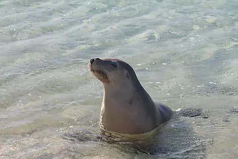 Aug 7, 27 - Jurien Bay Marine Park