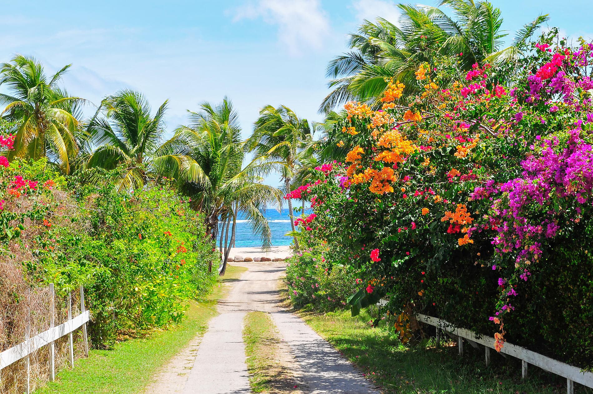 The Essentials of the Caribbean 