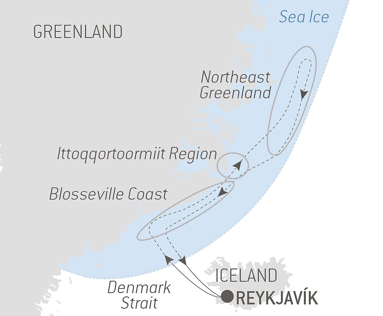 Northeast Greenland's unexplored sea ice