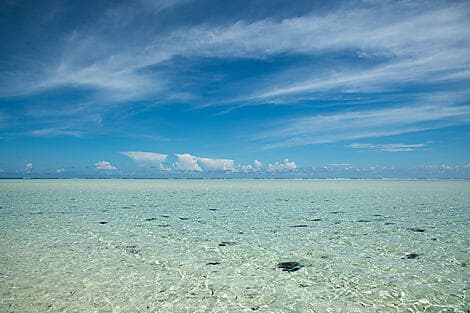 Feb 4, 27 - Saint François Atoll