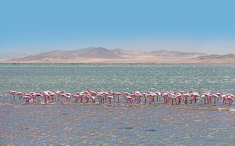 Dec 7, 26 > Dec 8, 26 - Walvis Bay