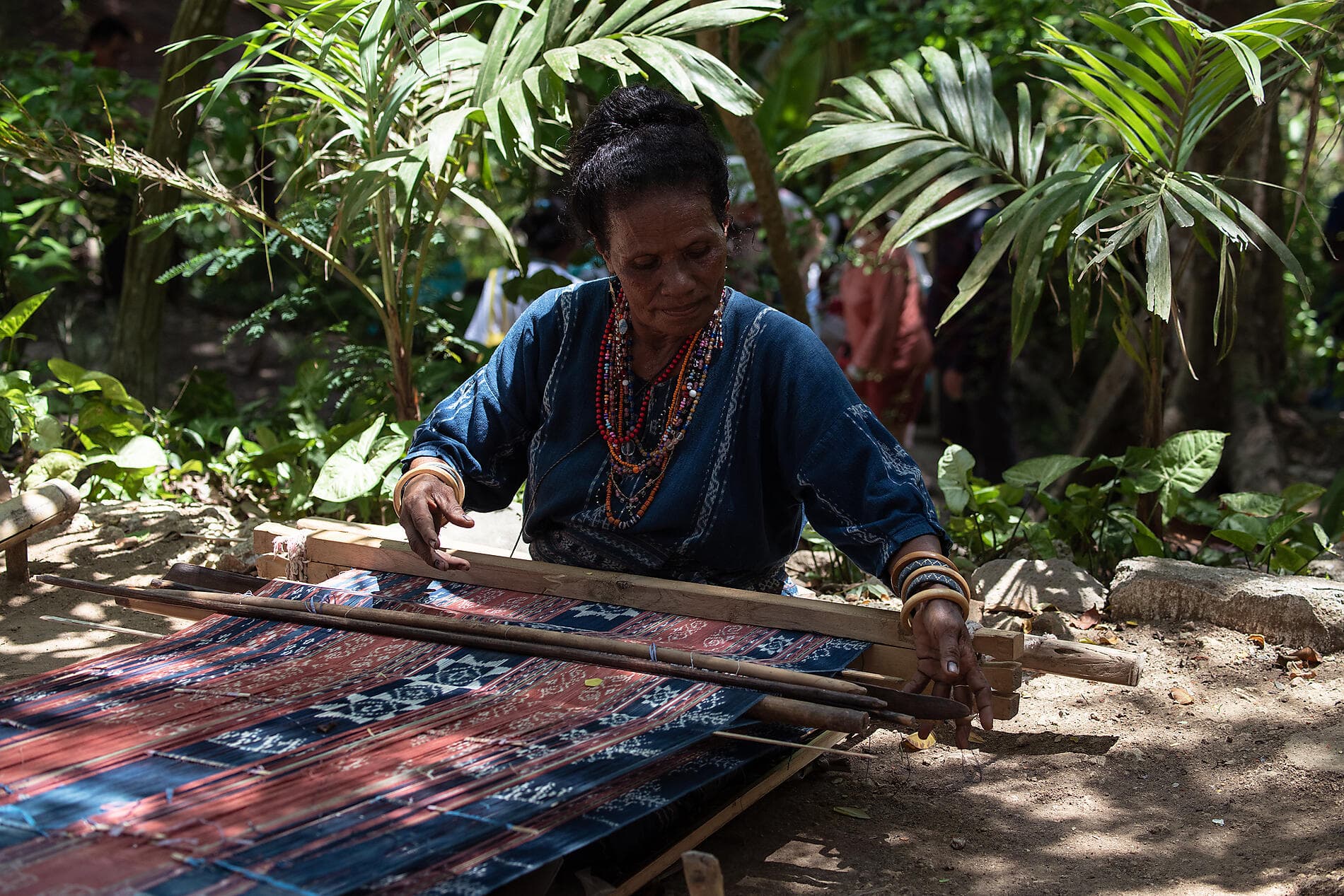 Tropical Odyssey between North East Australia and Indonesia 