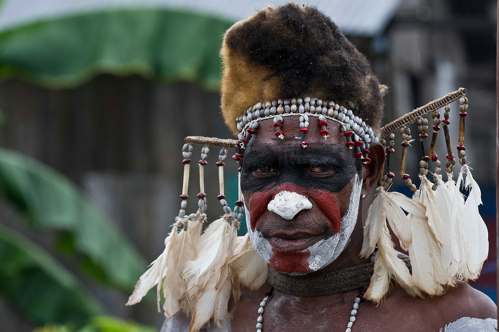Tropical Odyssey between North East Australia and Indonesia 