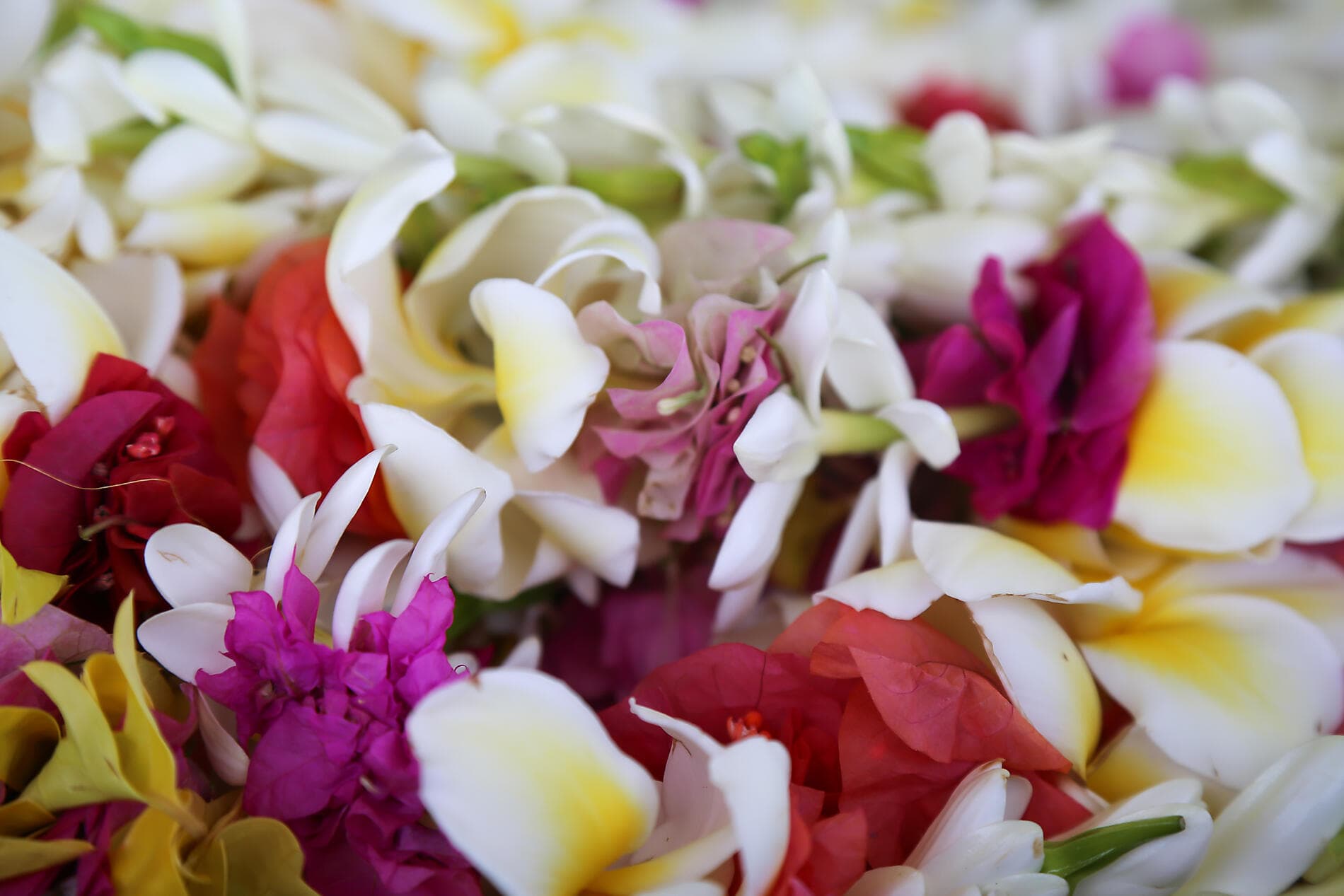 From Confidential French Polynesia to Pitcairn Island 