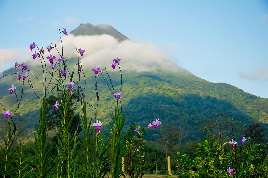Costa Rica : between natural wonders and traditions (3 nights)