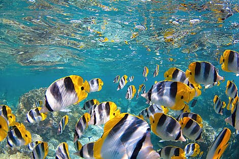 Jan 1, 26 - South Friars Bay, Saint Kitts