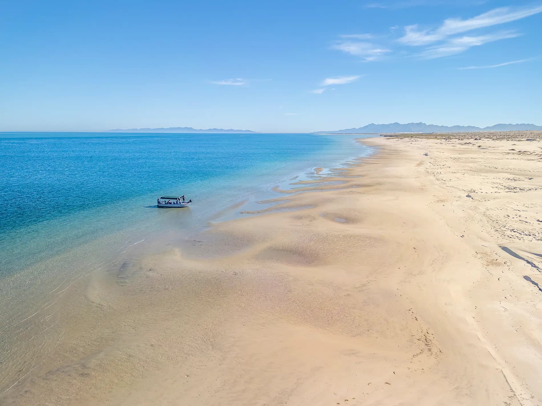 Baja and the Sea of Cortez: In Search of the Great Whales – with Smithsonian Journeys