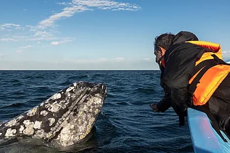 Feb 12, 27 - Guerrero Negro