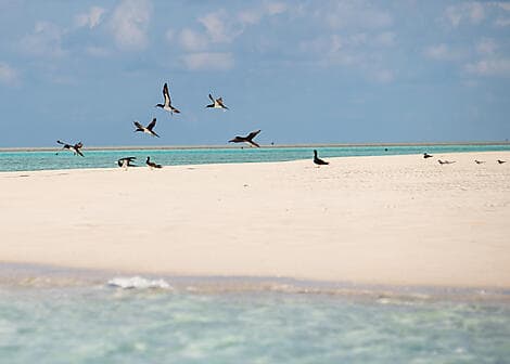 Jun 19, 27 - Ashmore Reef (technical stop)