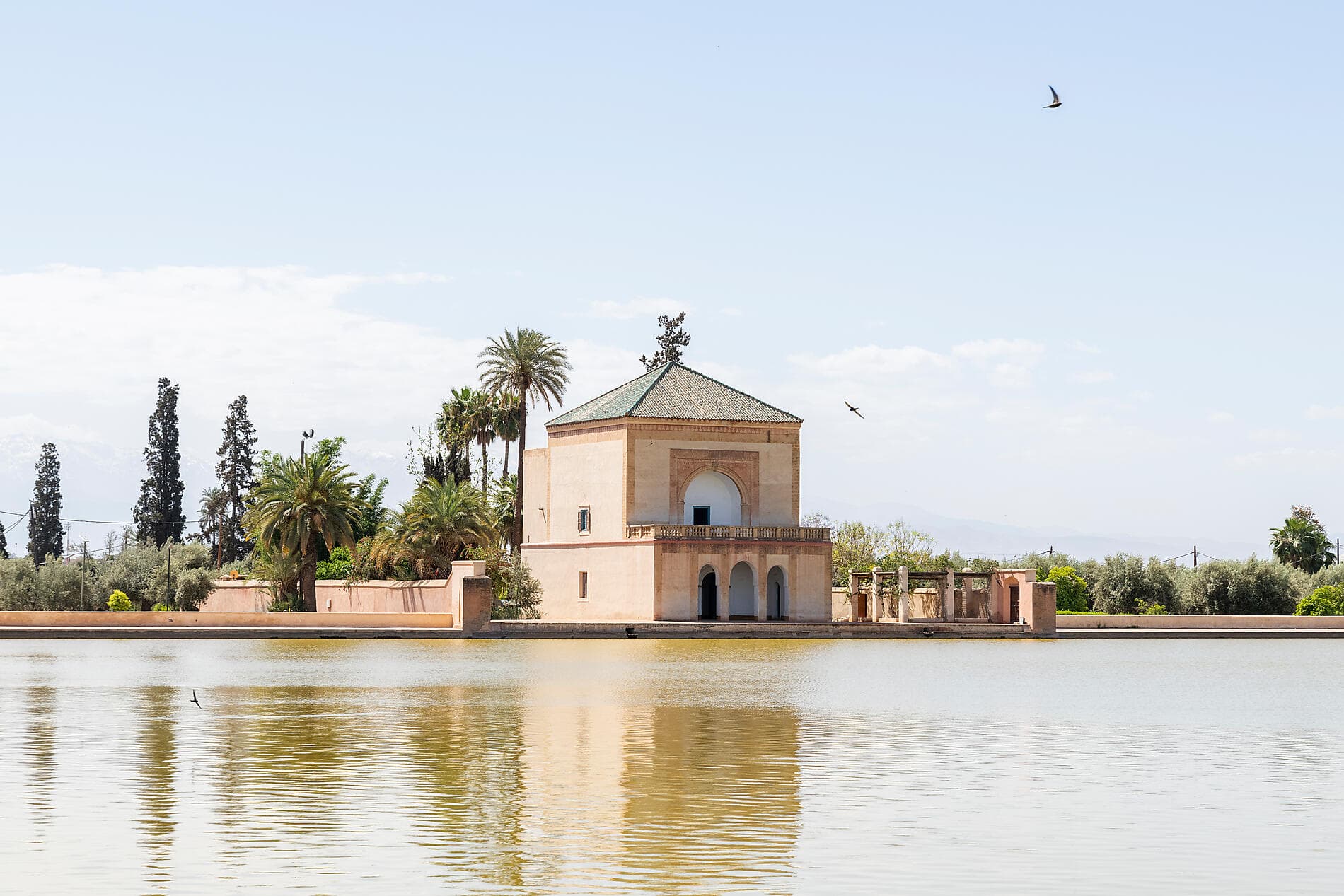 Atlantic odyssey from the Canary Islands to the shores of Morocco 
