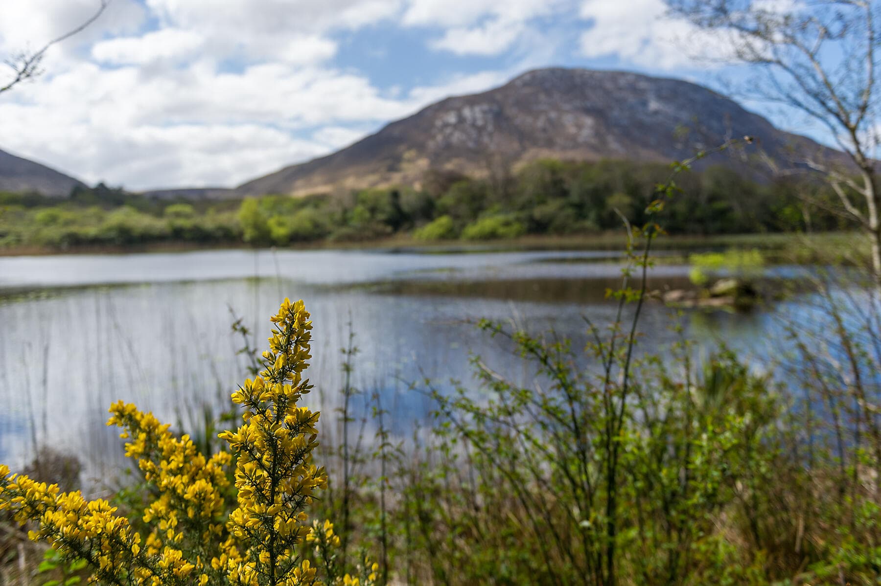 Circumnavigation of the Emerald Isle