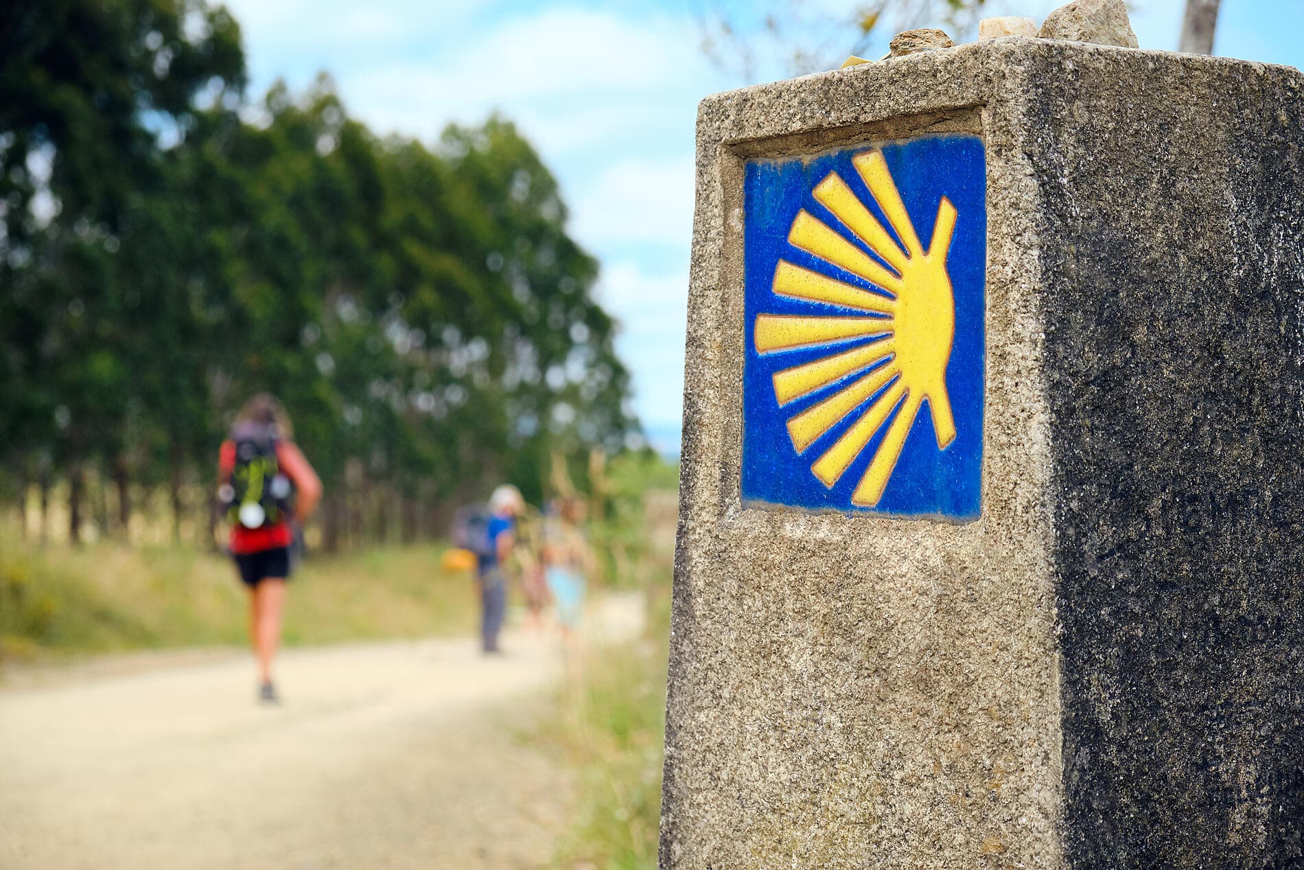 The Atlantic coast - with the Paris Opera Ballet 