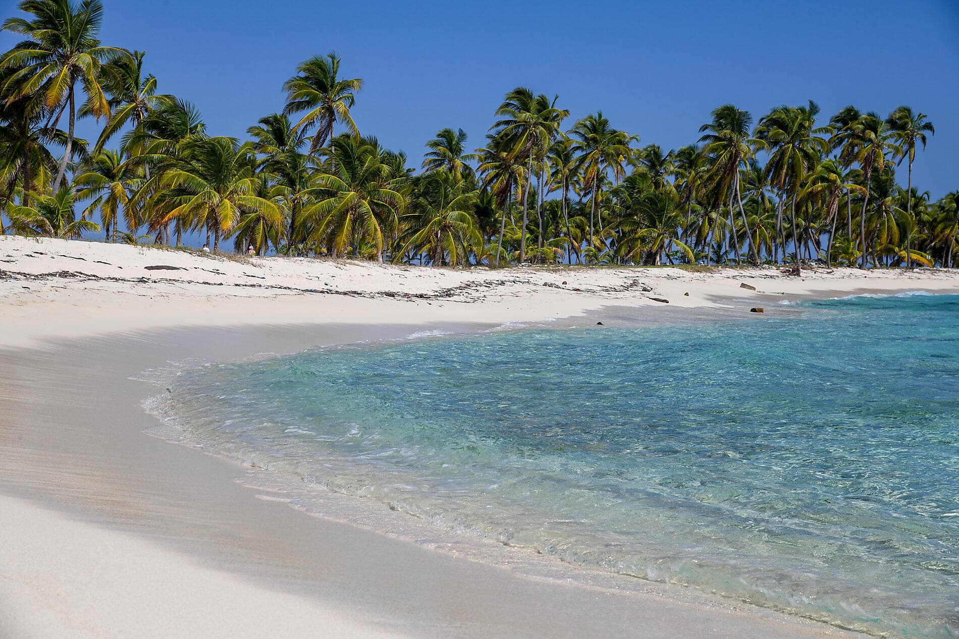 Natural sanctuaries & Caribbean encounters 