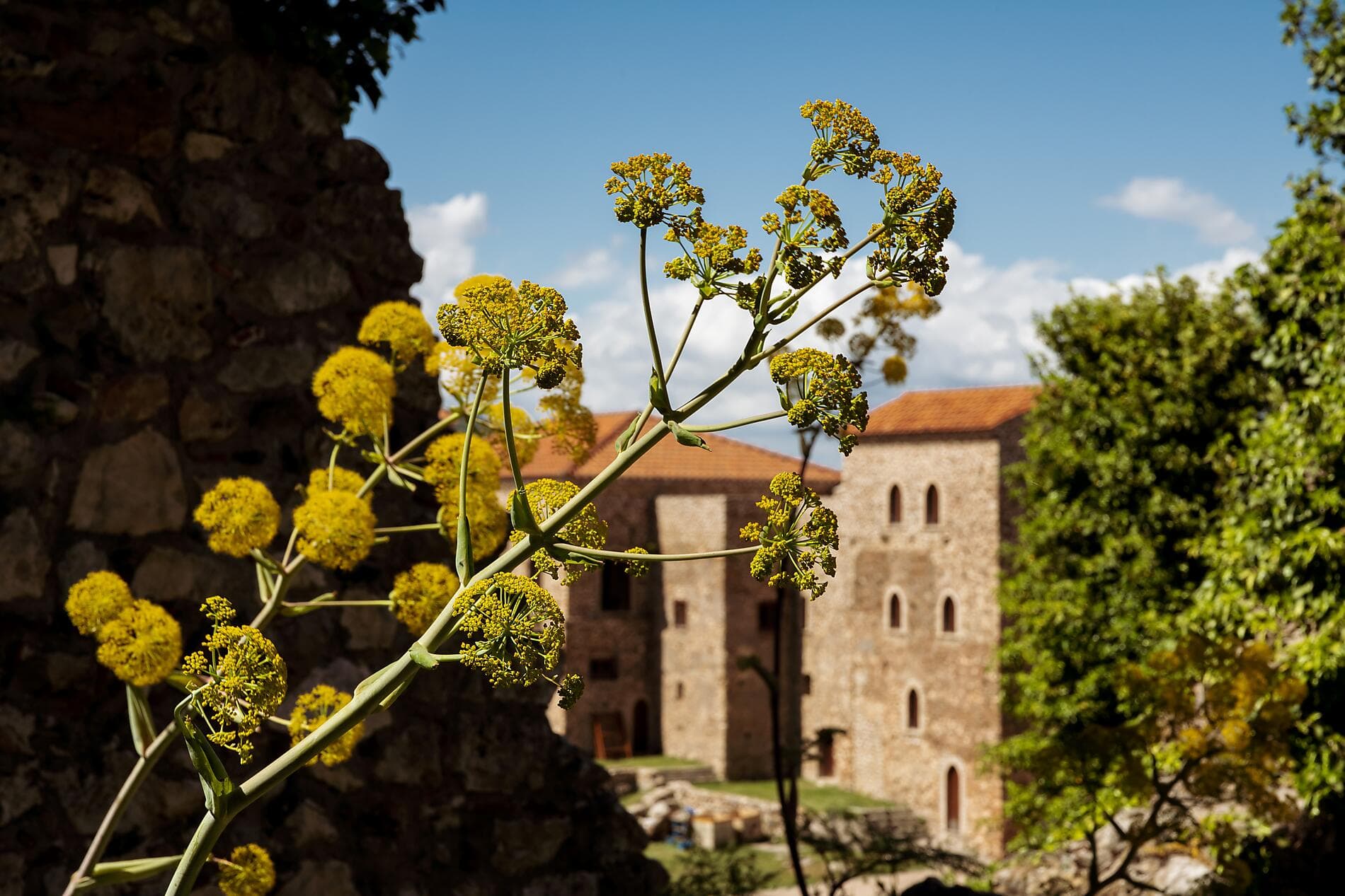 Landscapes and historic sites of the Peloponnese