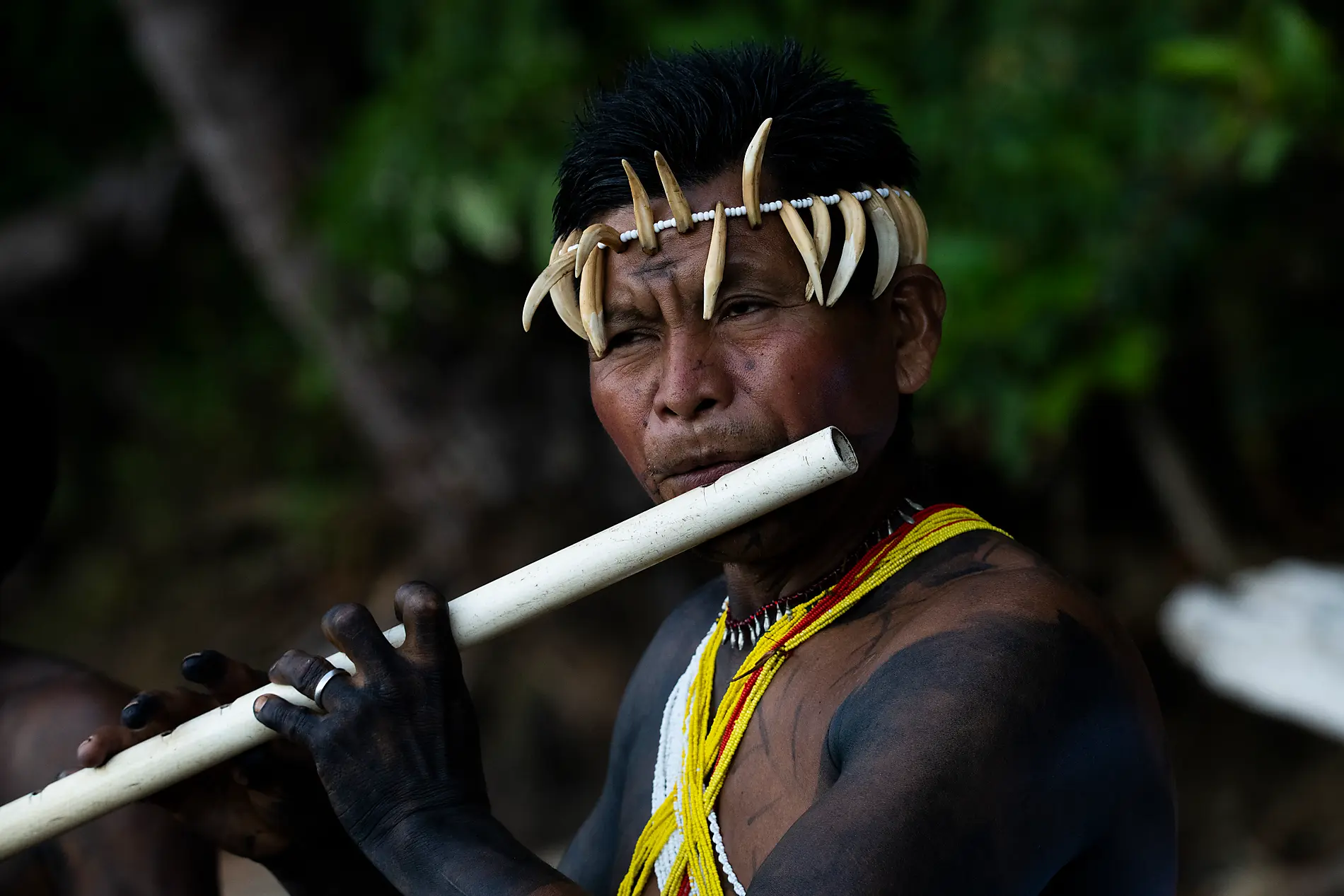 From Panama’s wild beauty to Peruvian shores 