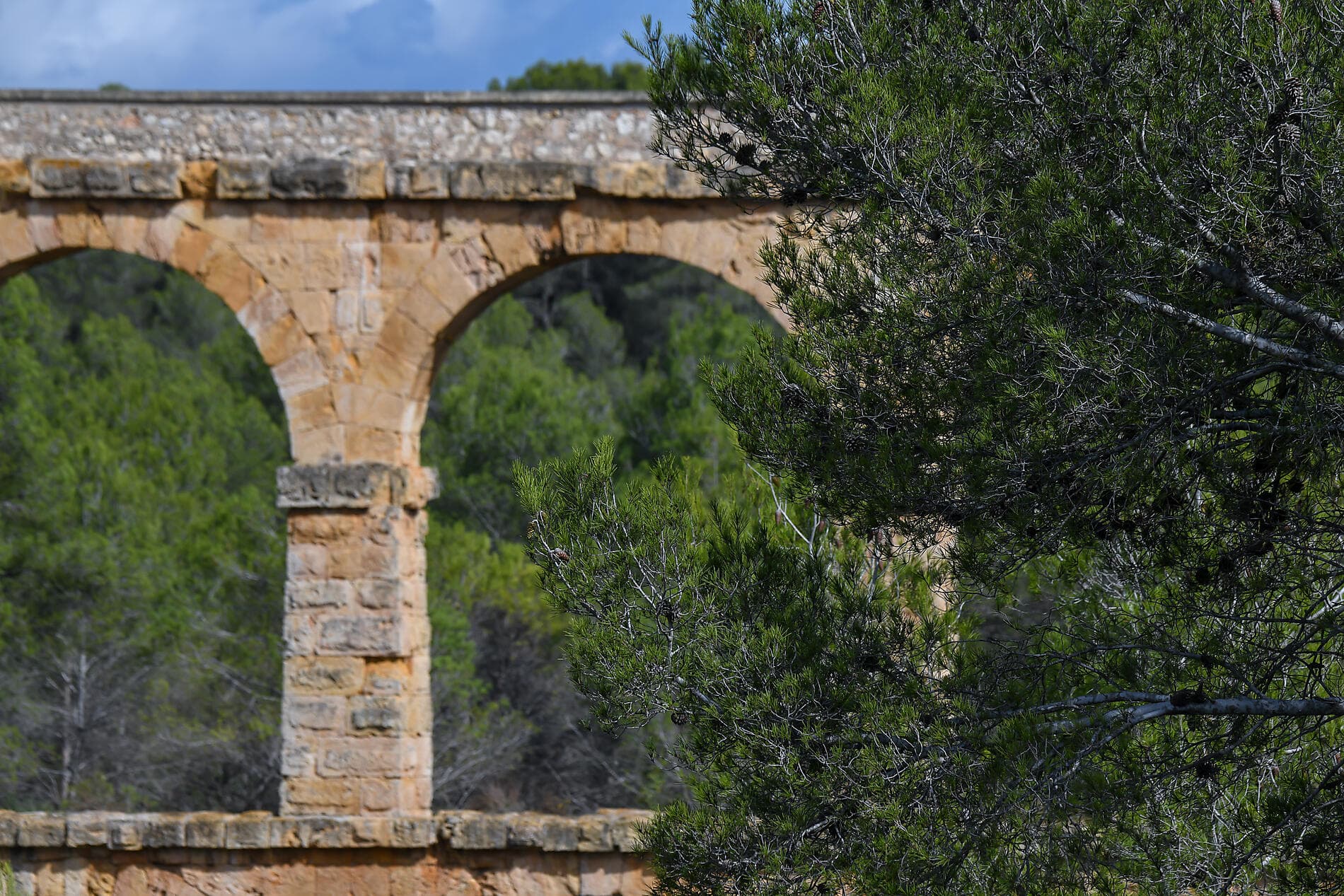 Spring Awakening on the Mediterranean