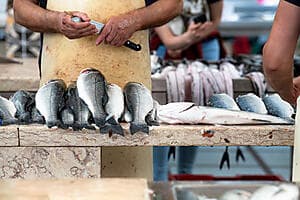 Catania, Street Food, and Fish Market