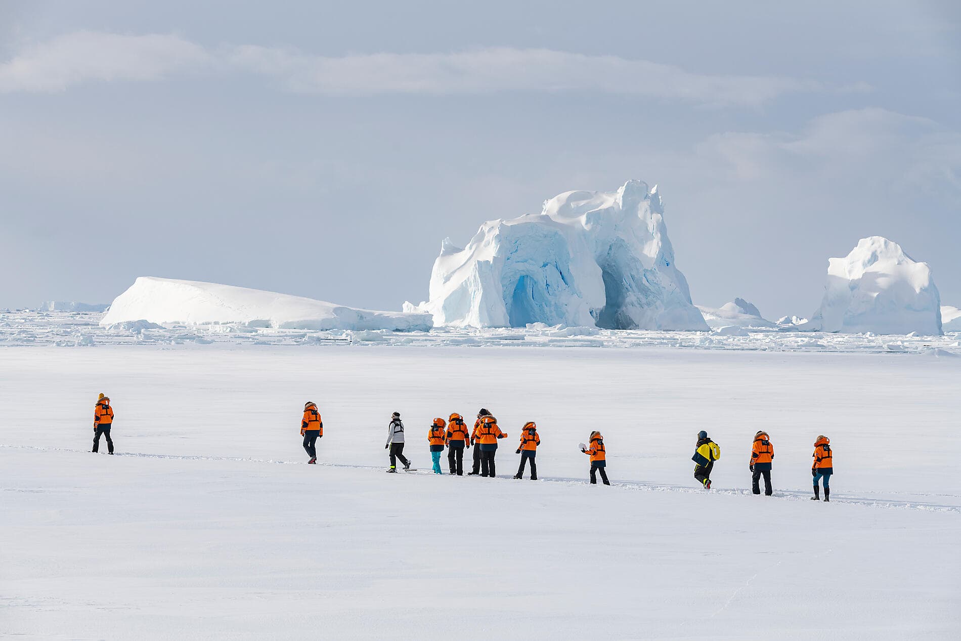 The Emperor Penguins of Weddell Sea 