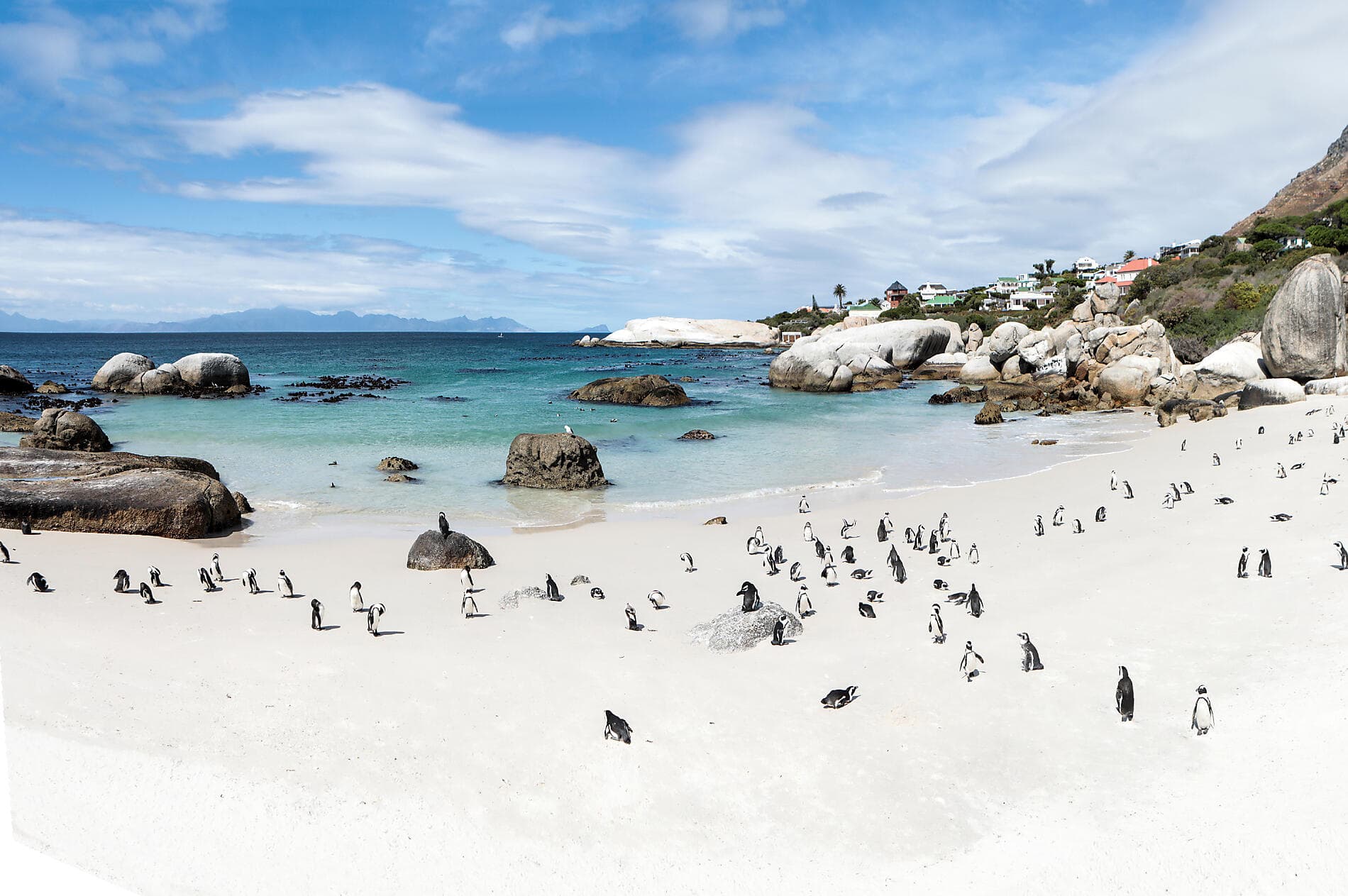 South Africa and Namibia by Sea: Around the Cape of Good Hope - with Smithsonian Journeys 