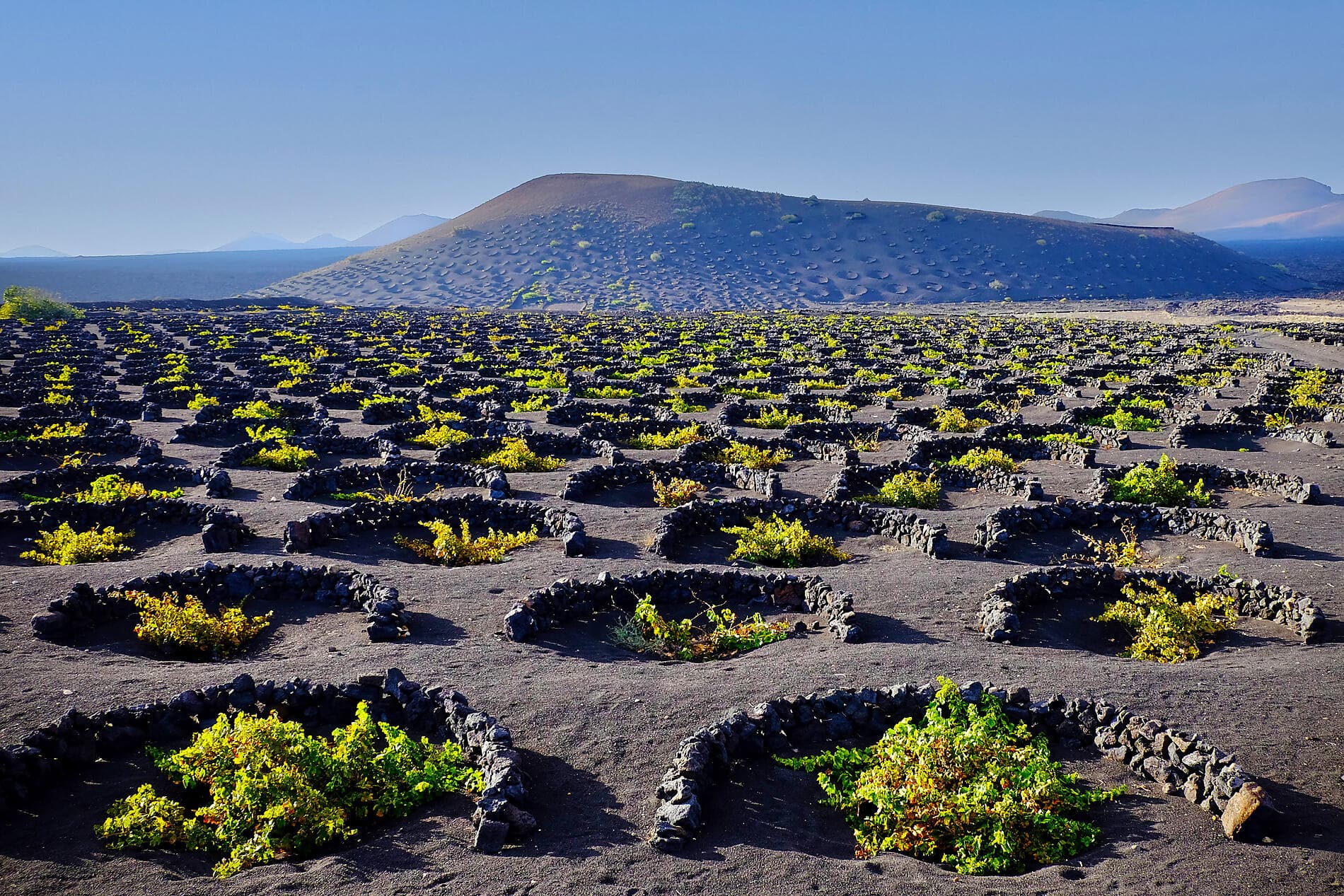 Canary Islands, Morocco and Portugal