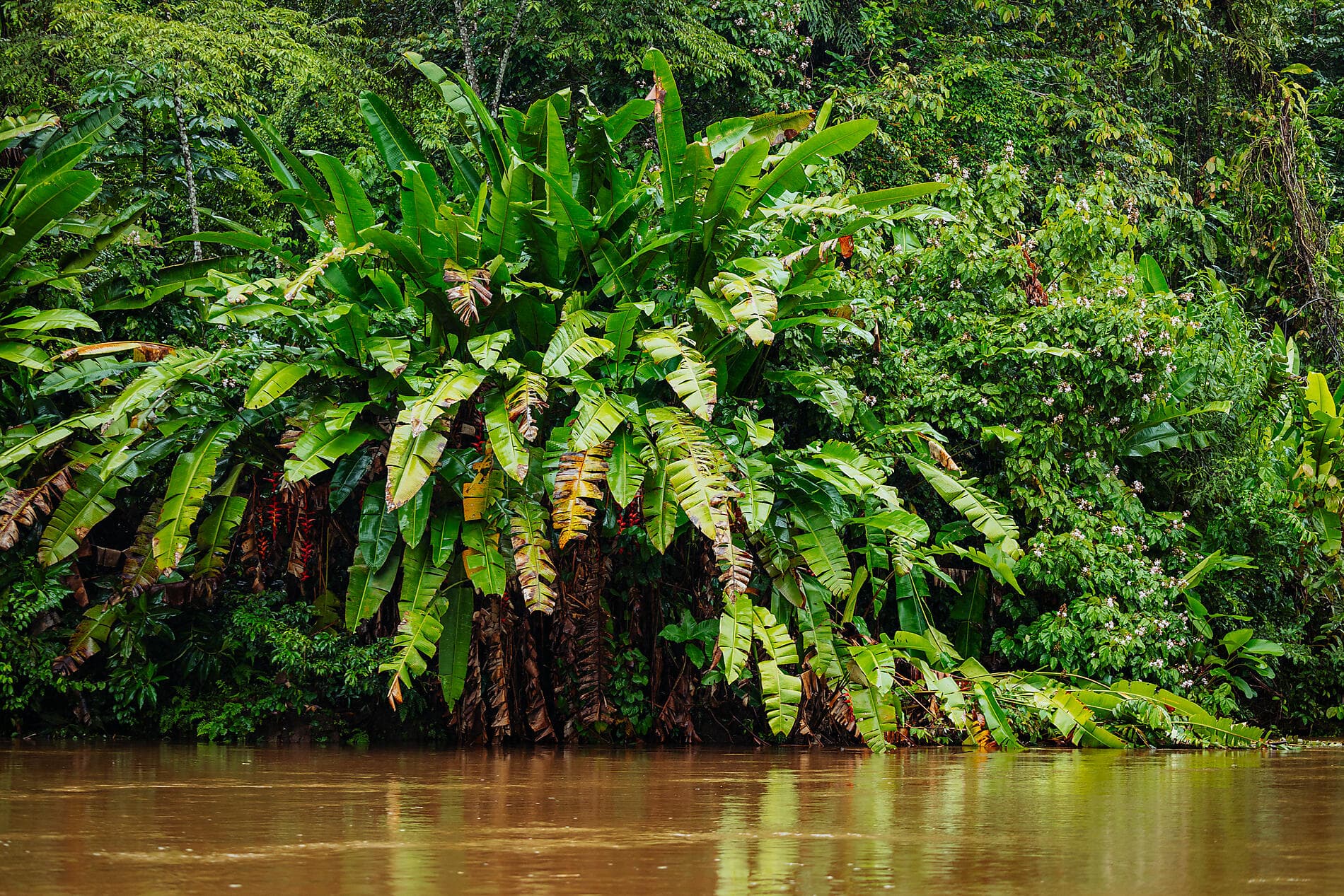 Pacific Coast of Costa Rica
