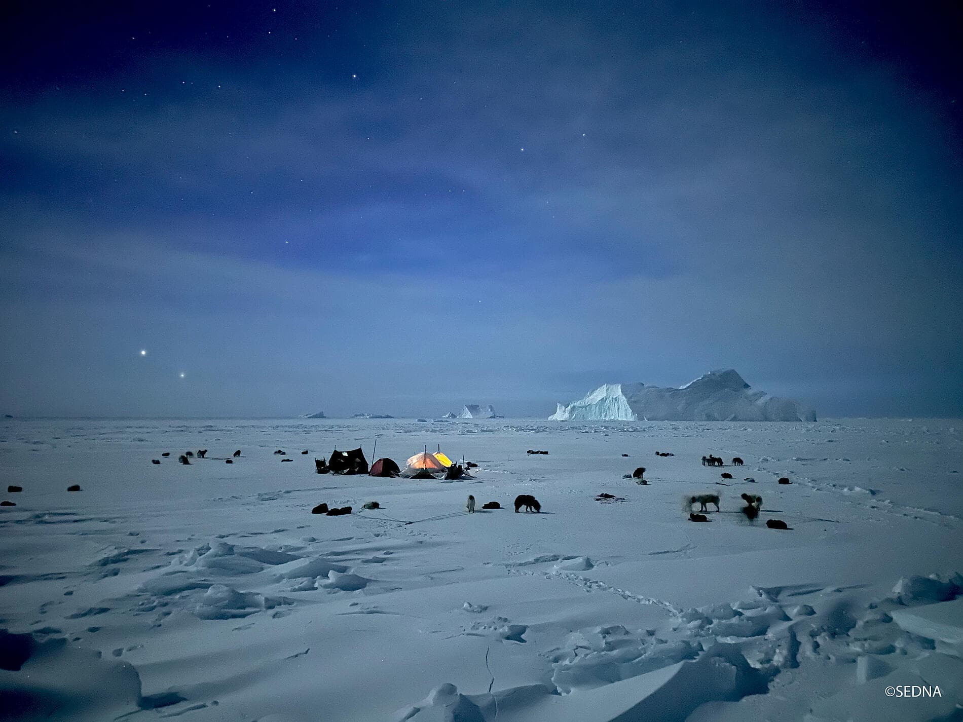 Encounter with the Last Guardians of the North Pole