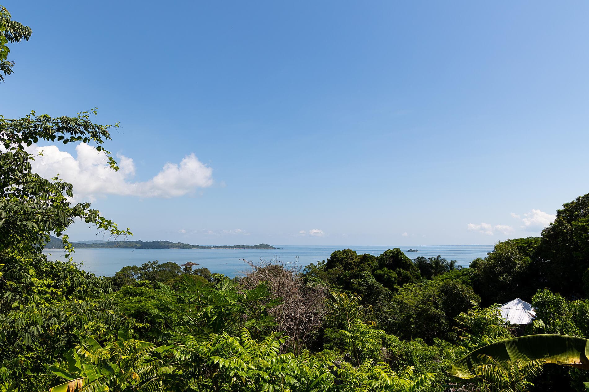 Jewels of Madagascar