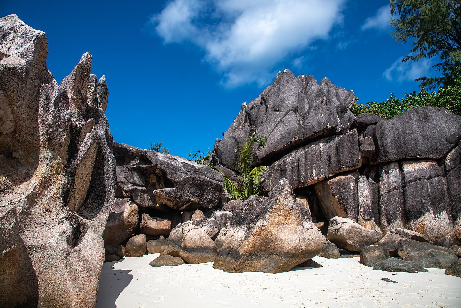 The essential Seychelles