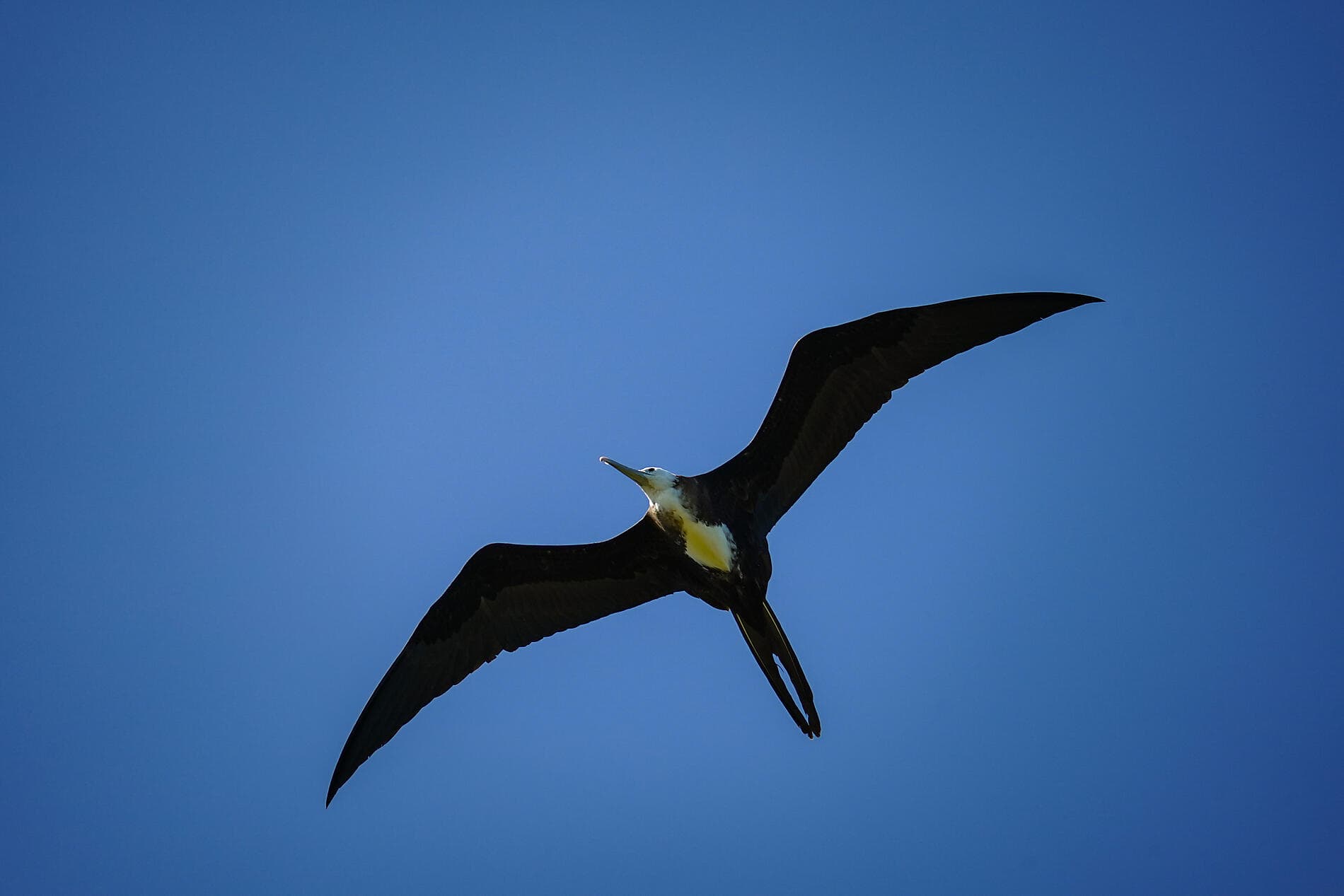 History and culture visiting Caribbean jewels 