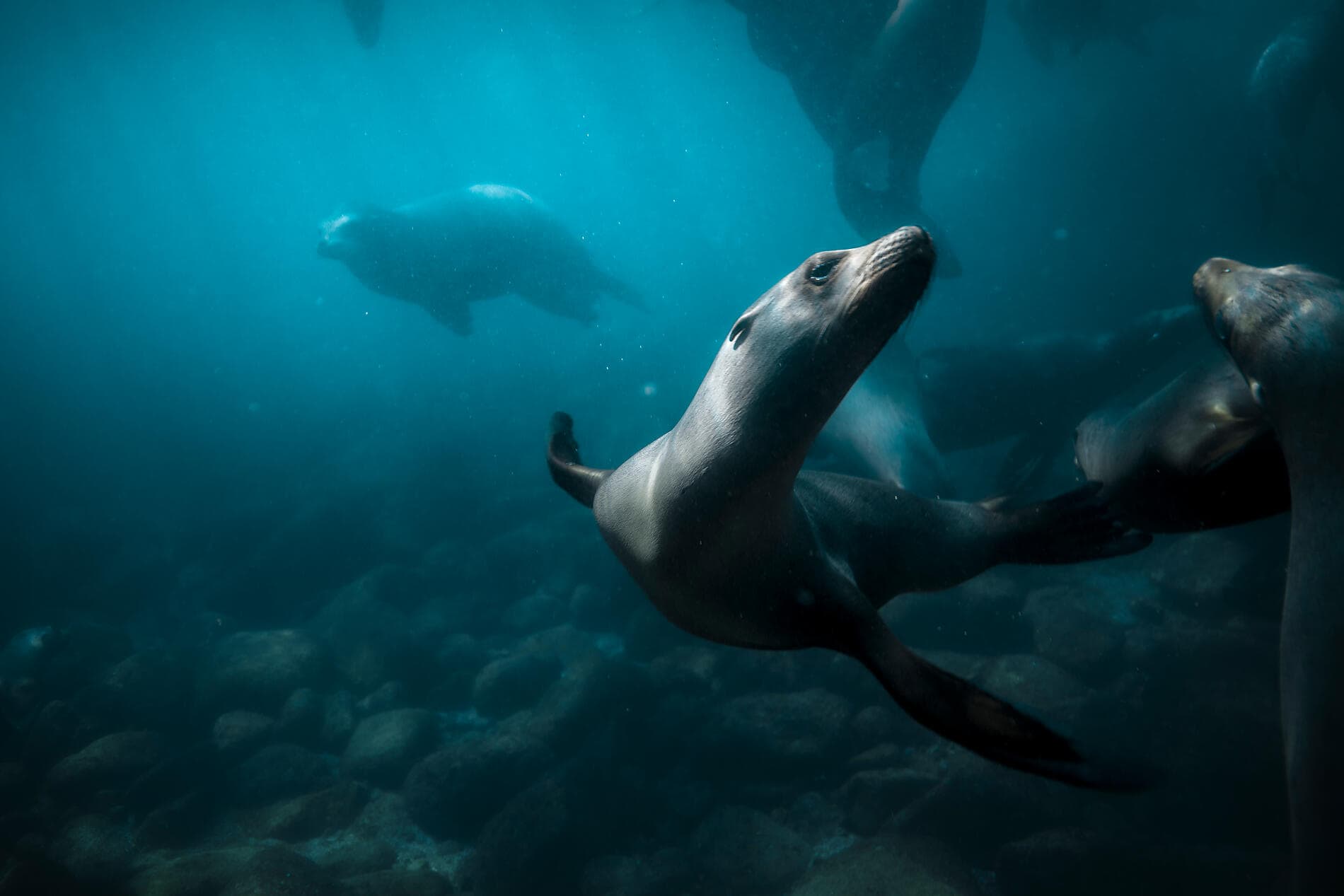 Exploration in the Heart of Baja California 