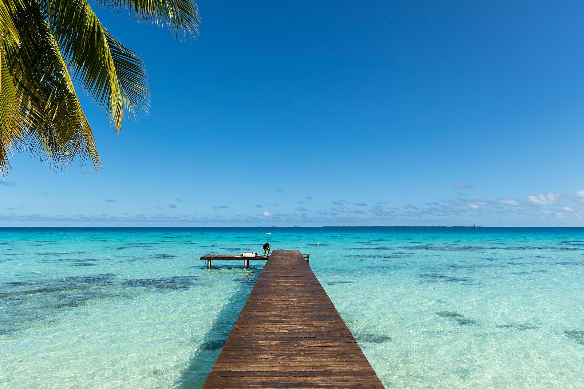 Polynesian Bliss: Marquesas and Tuamotu