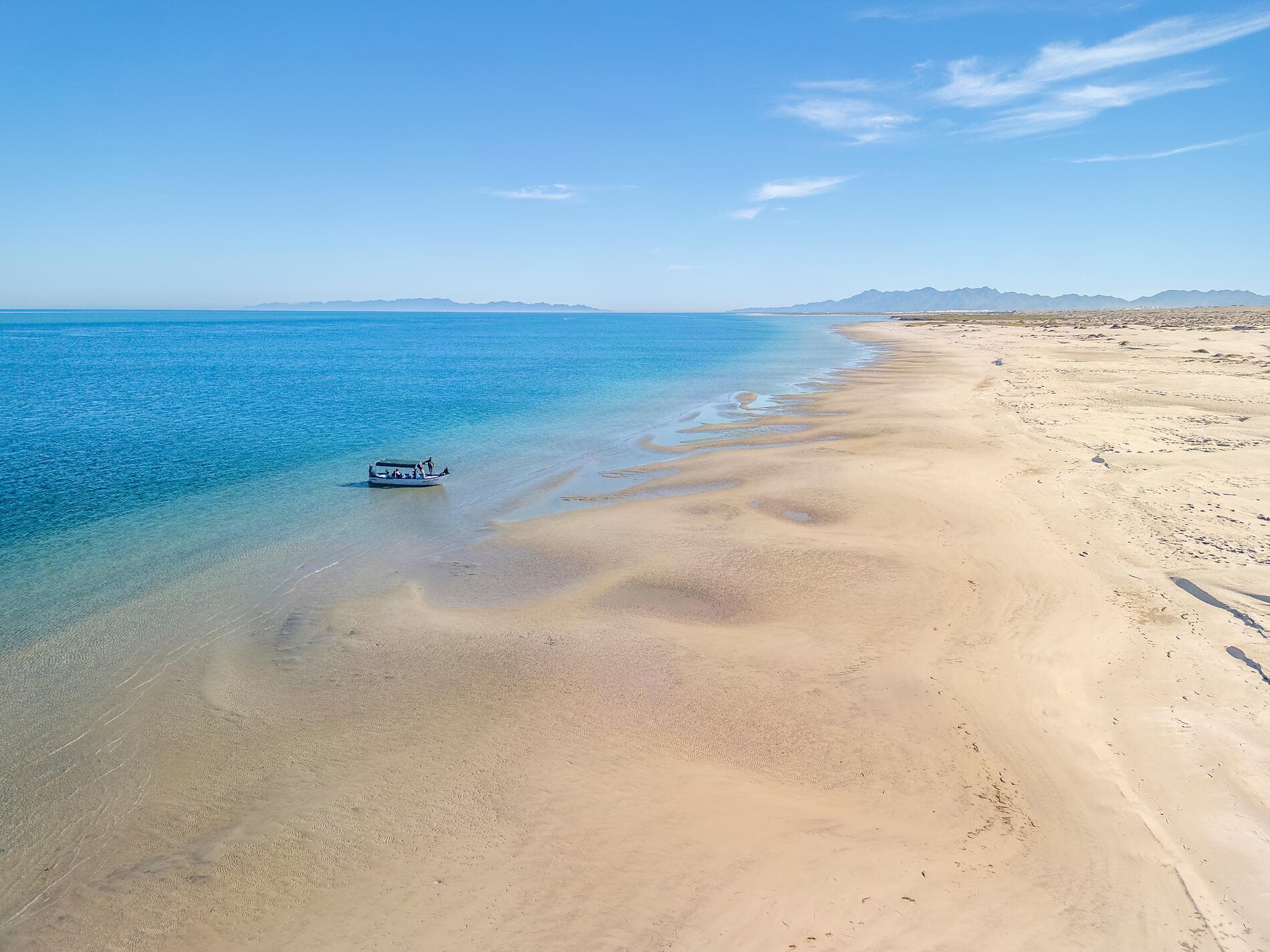 Baja and the Sea of Cortez: In Search of the Great Whales – with Smithsonian Journeys 