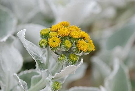 Dec 15, 25 - Grave Cove