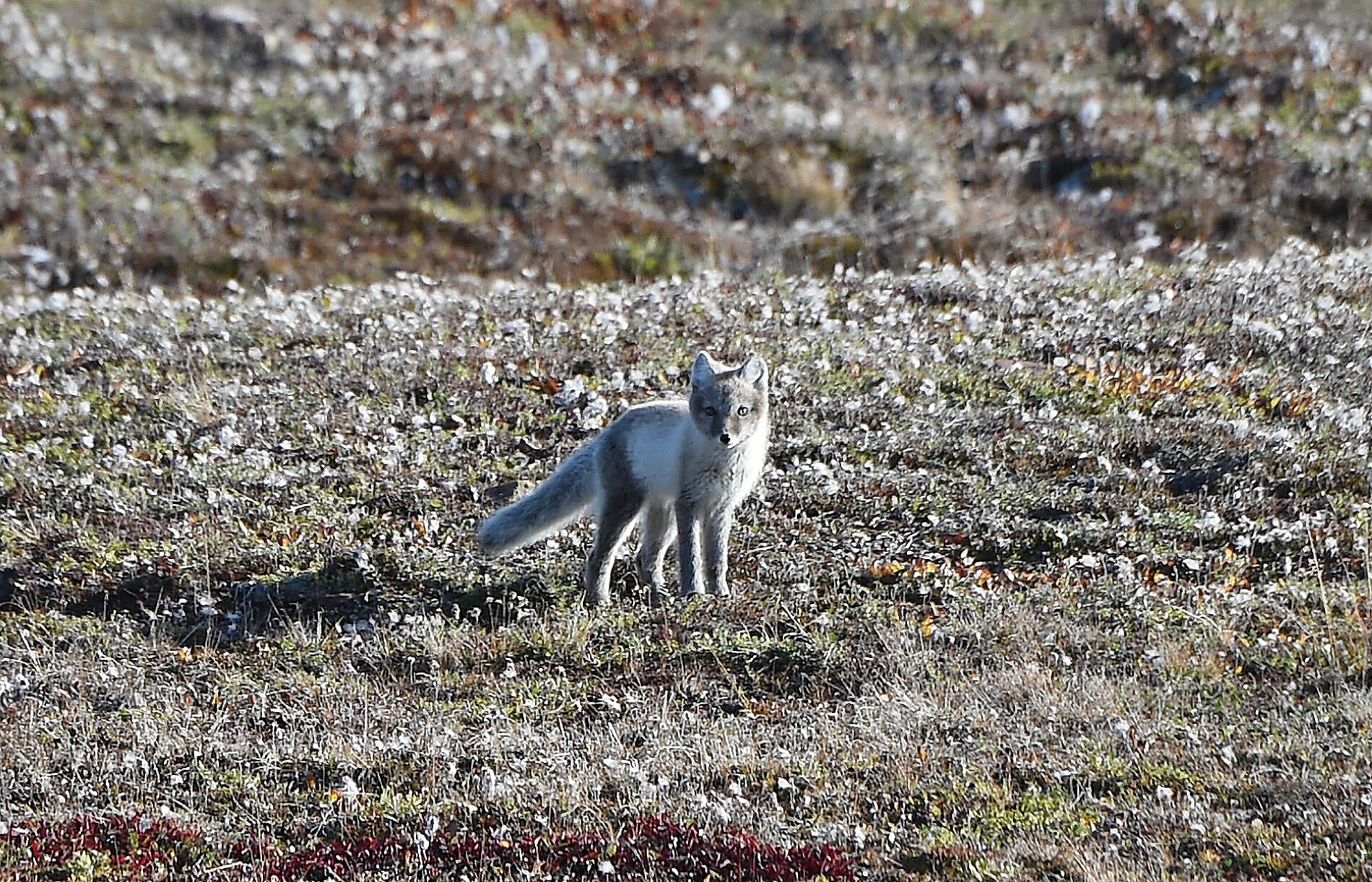 No-2034_Nathalie Michel.jpg