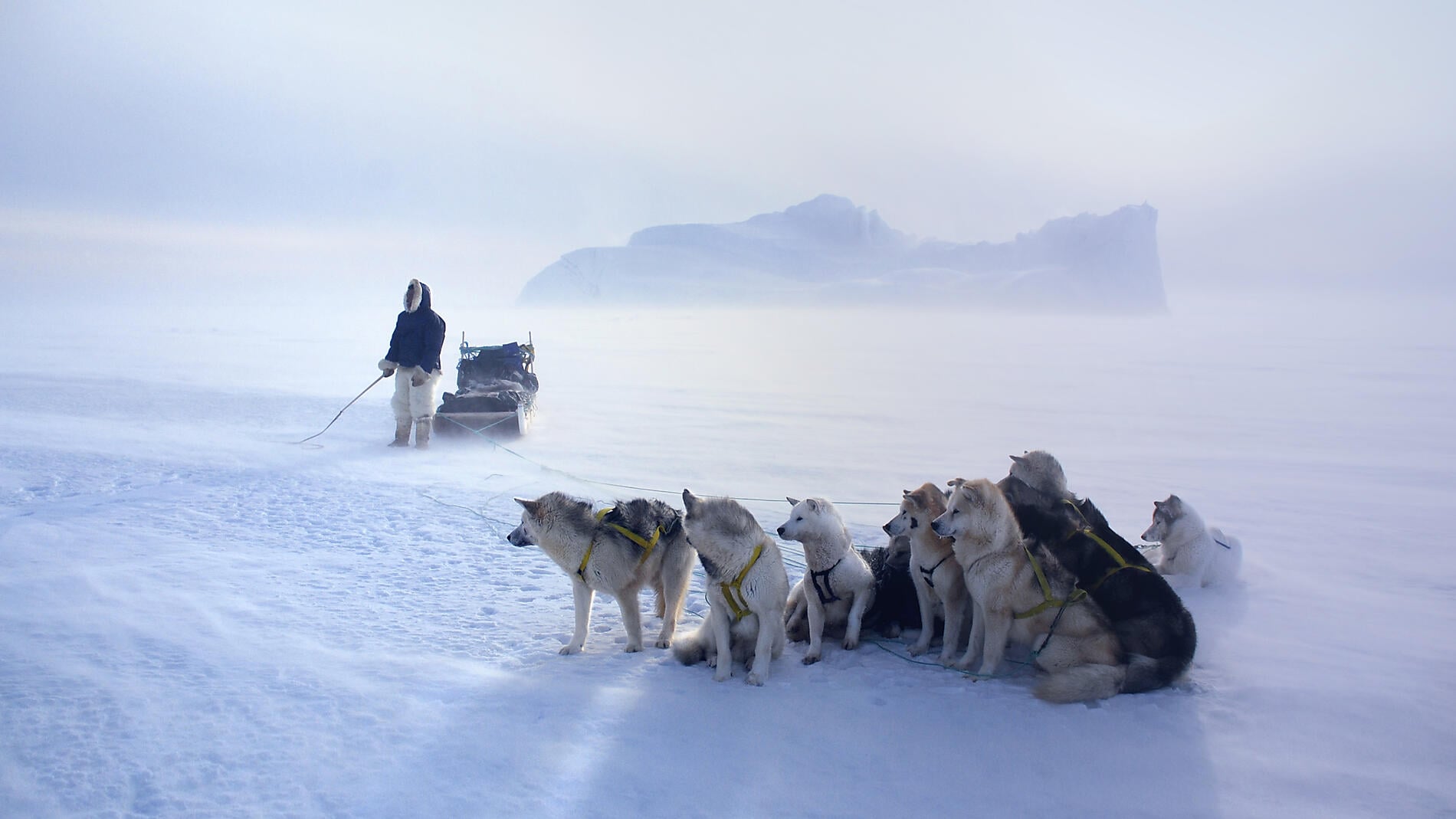 Encounter with the Last Guardians of the North Pole Encounter with the Last Guardians of the North Pole