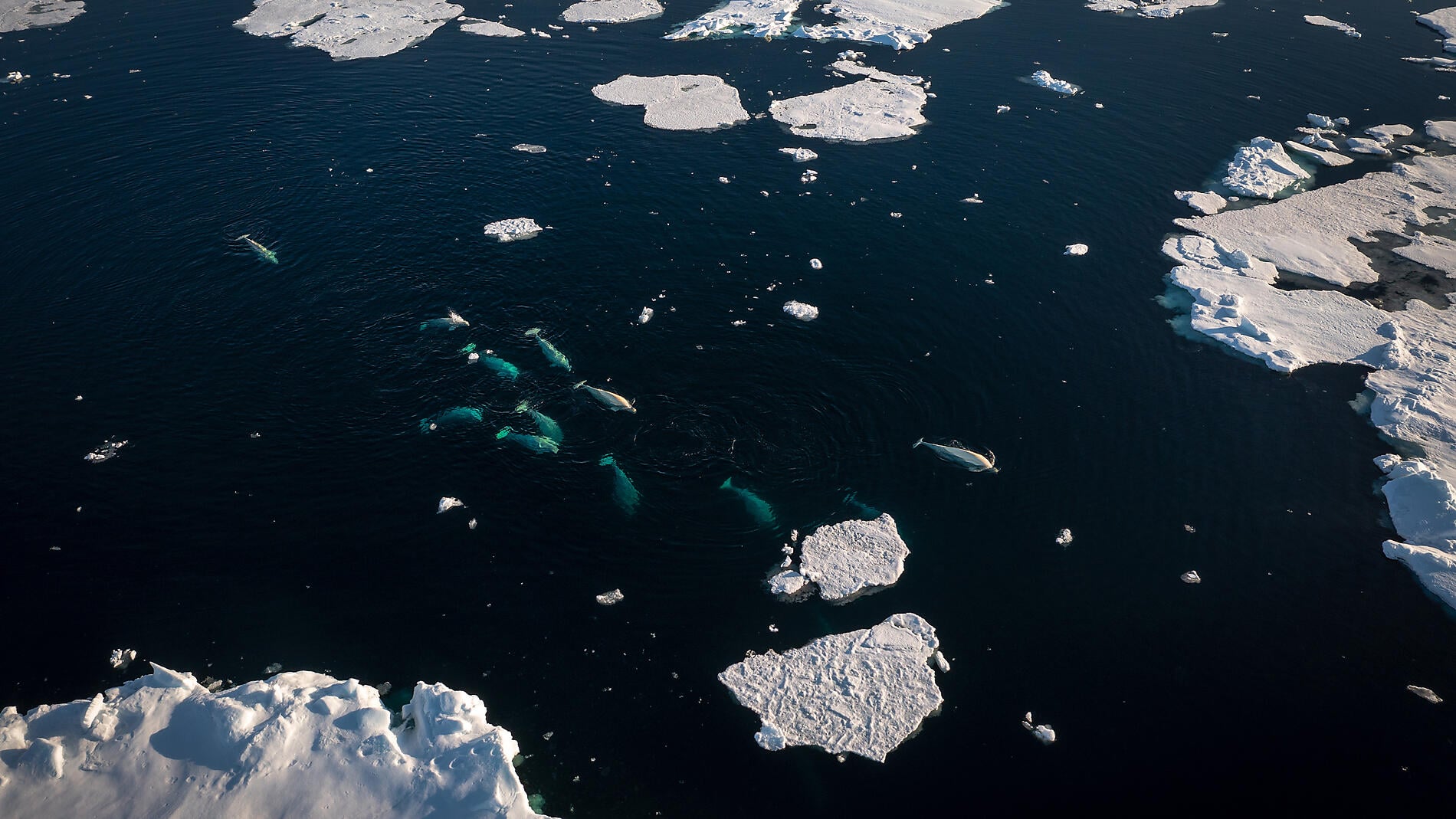 Beyond the inhabited world Beyond the inhabited world