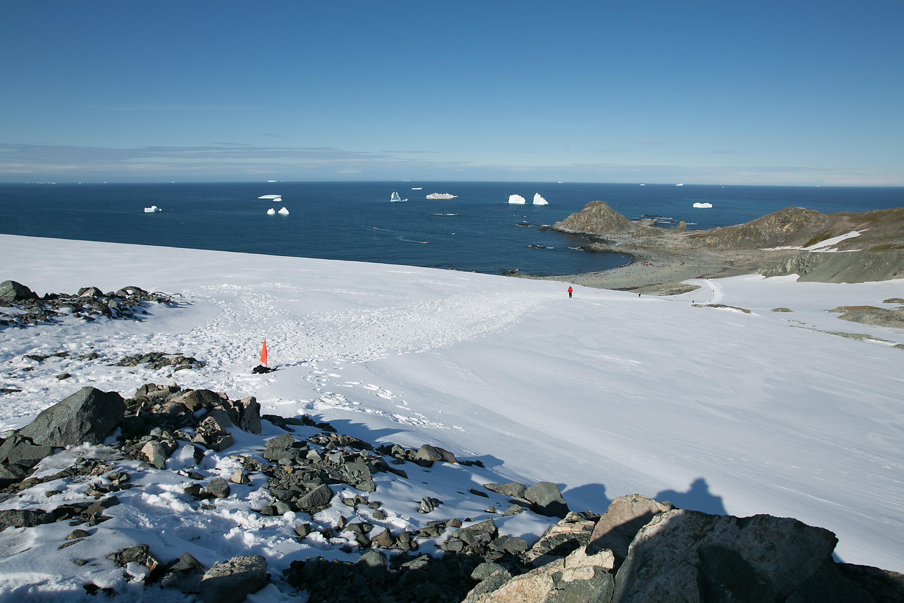 6019- Robert Point - Shetland du Sud.jpg